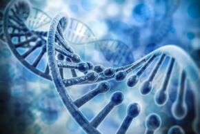 Fotolia © DigitalGenetics